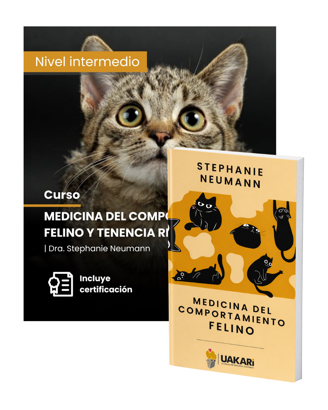 Medicina del comportamiento felino y tenencia responsable