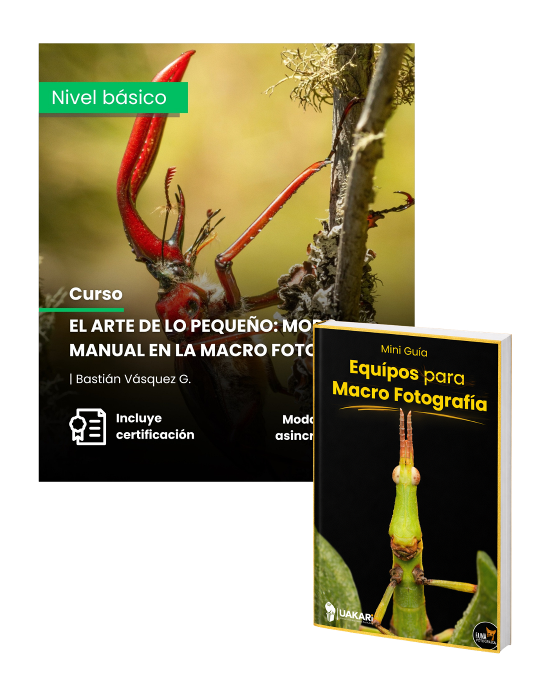 El Arte de lo Pequeño: Modo Manual en la Macro Fotografía