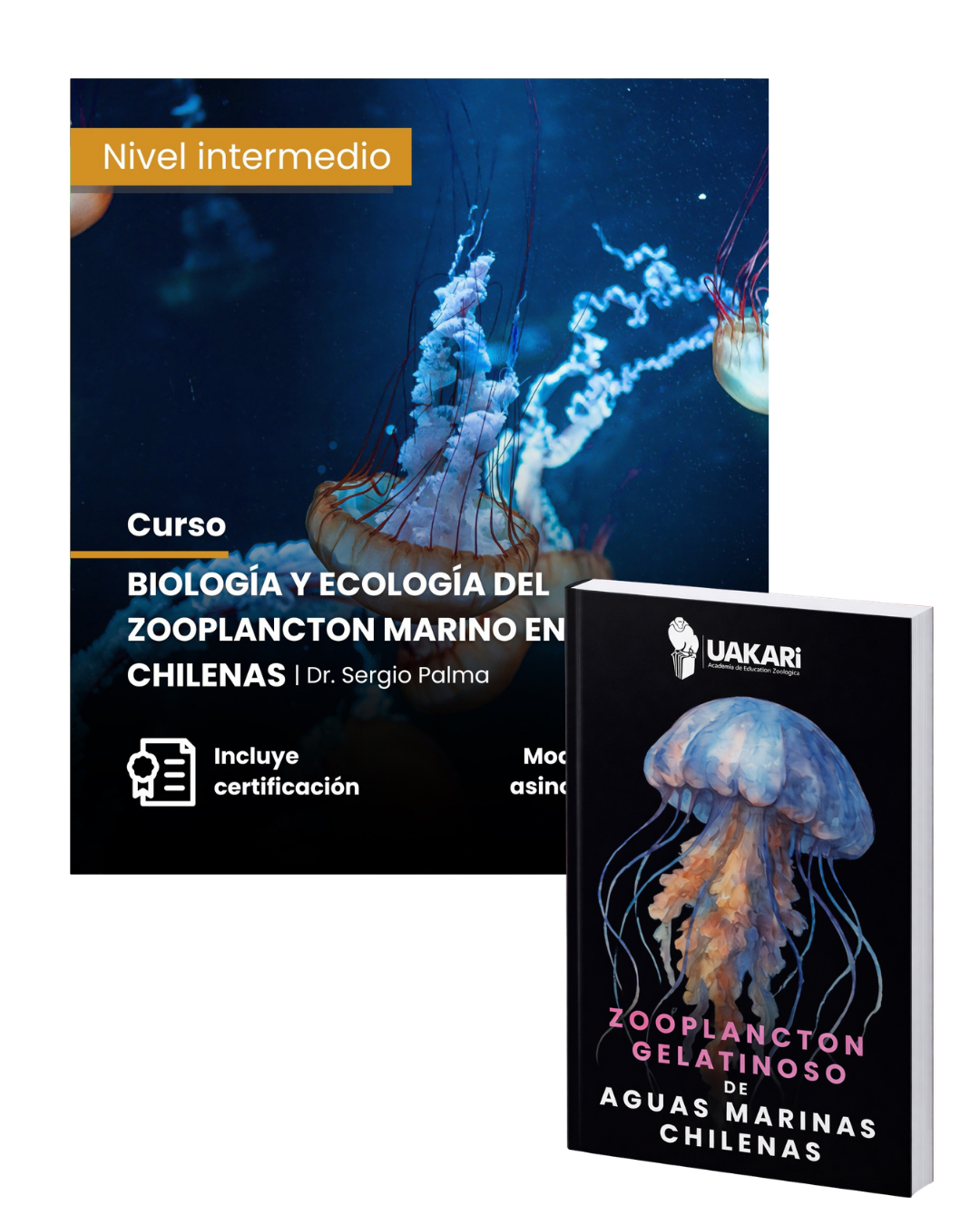 Biología y ecología del zooplancton marino de aguas chilenas