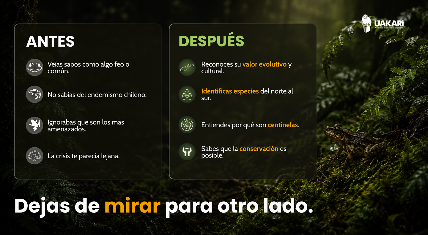 Antes y después: cómo cambia tu mirada de los anfibios tras el curso.