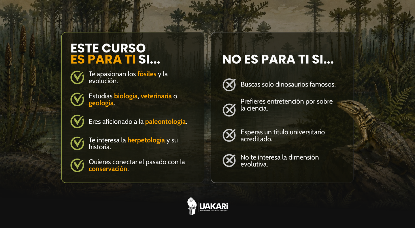 Para quién es y para quién no es el curso Guardianes de la Historia.