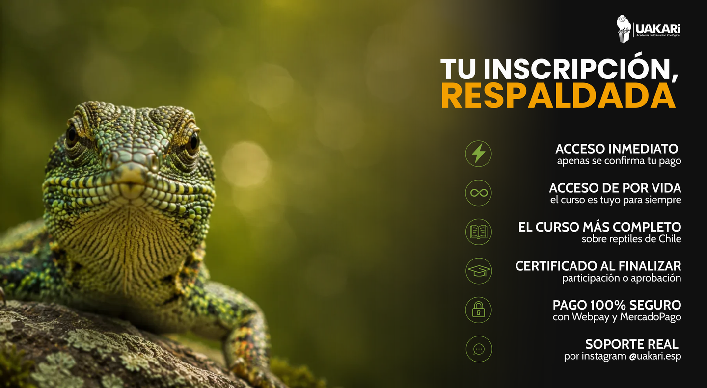 Tu inscripción respaldada: acceso de por vida, certificado y pago seguro.