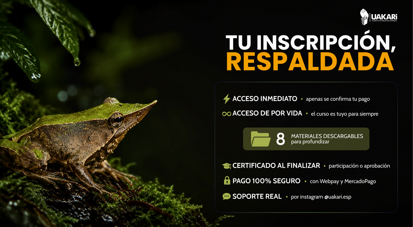 Tu inscripción respaldada: acceso de por vida, certificado, 8 materiales descargables y pago seguro.