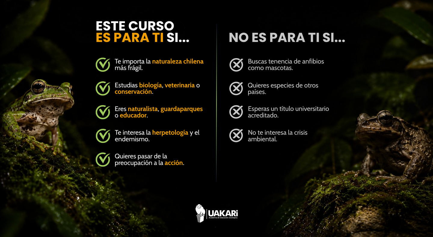 Para quién es y para quién no es el curso de anfibios de Chile.