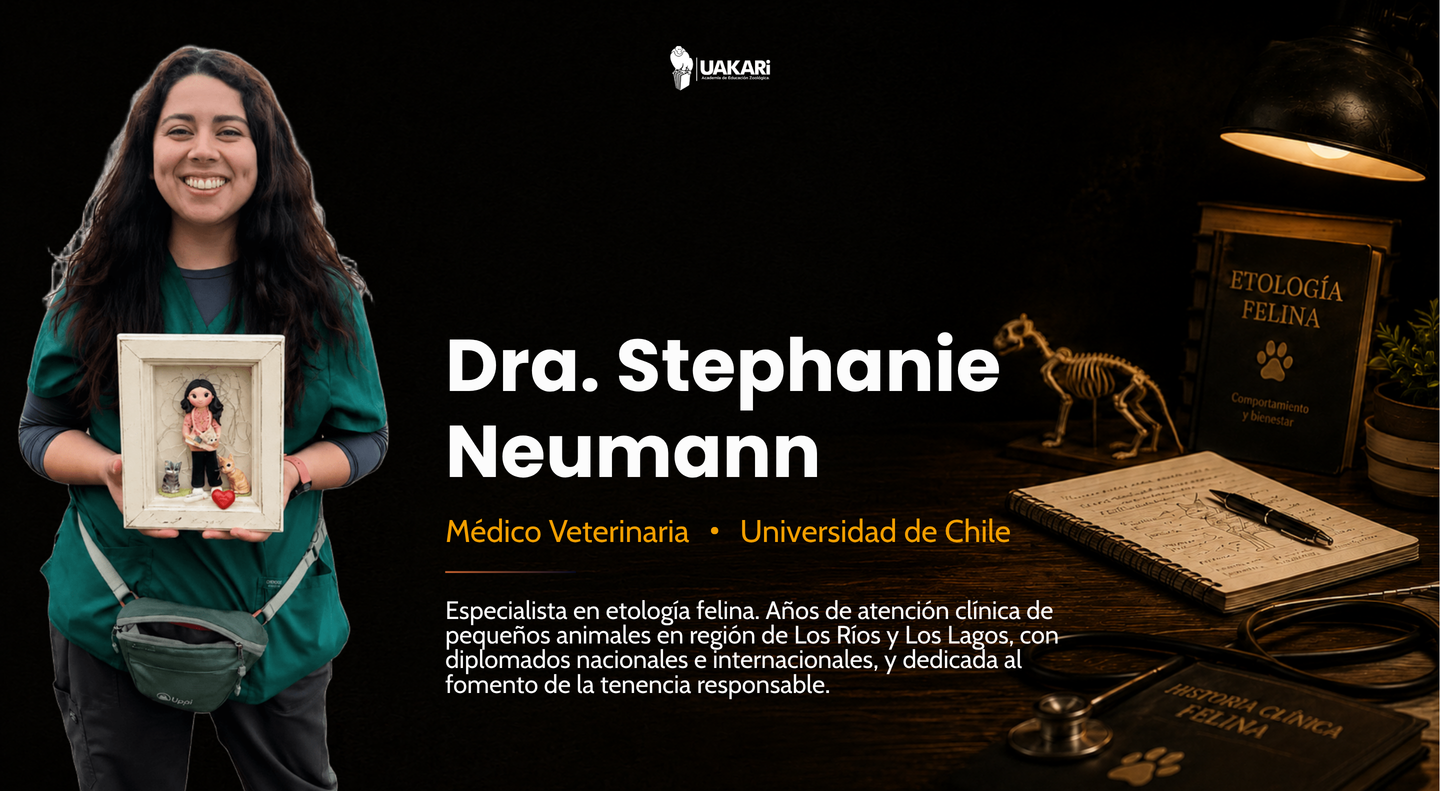 La profesora: Dra. Stephanie Neumann, médico veterinaria especialista en etología felina.