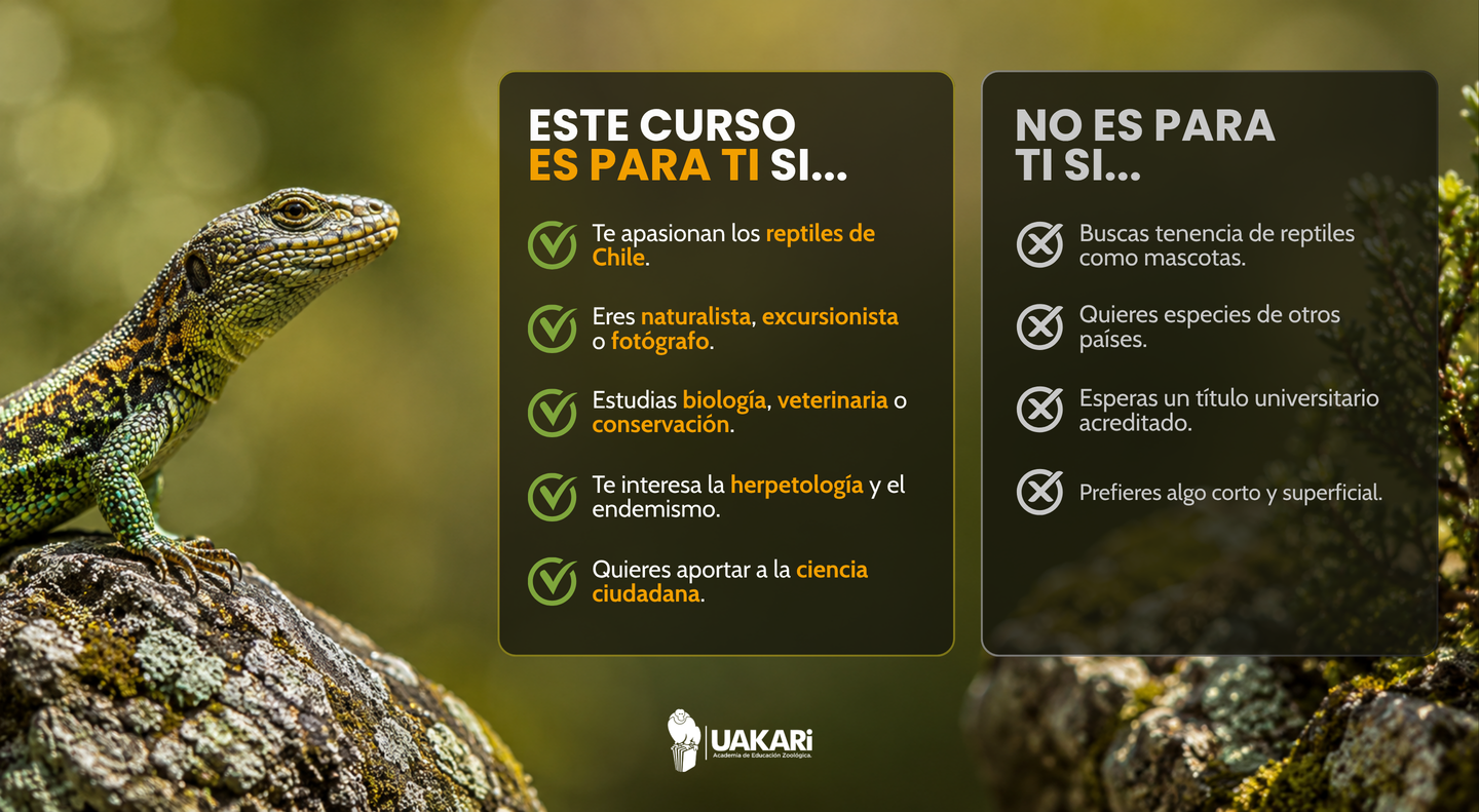 Para quién es y para quién no es el curso de reptiles de Chile.