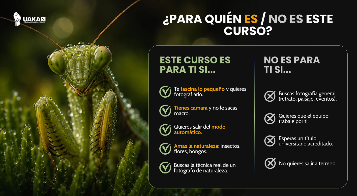 Para quién es y para quién no es el curso de macrofotografía de naturaleza.