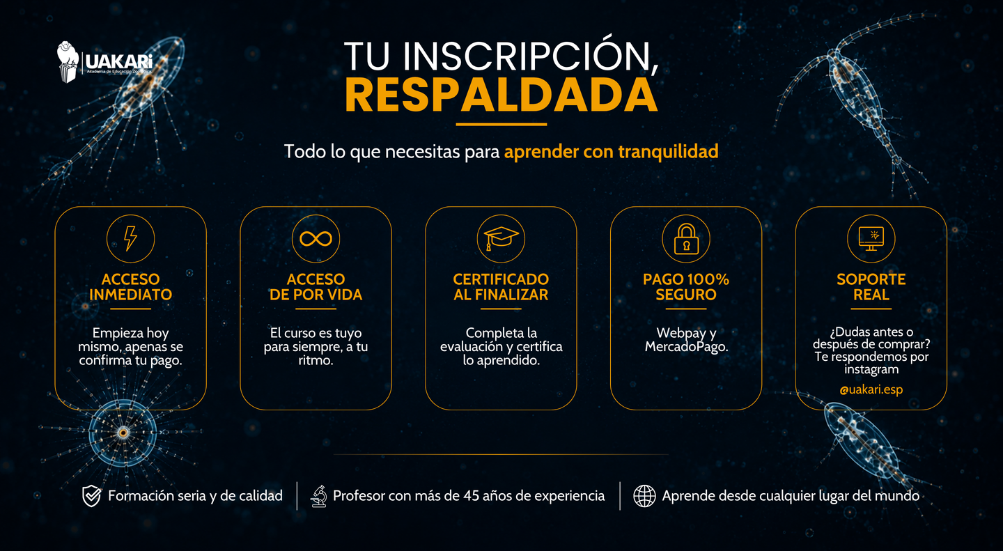 Tu inscripción respaldada: acceso de por vida, certificado y pago seguro.