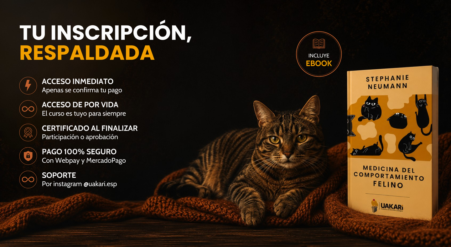 Tu inscripción respaldada: acceso de por vida, certificado, eBook y pago seguro.