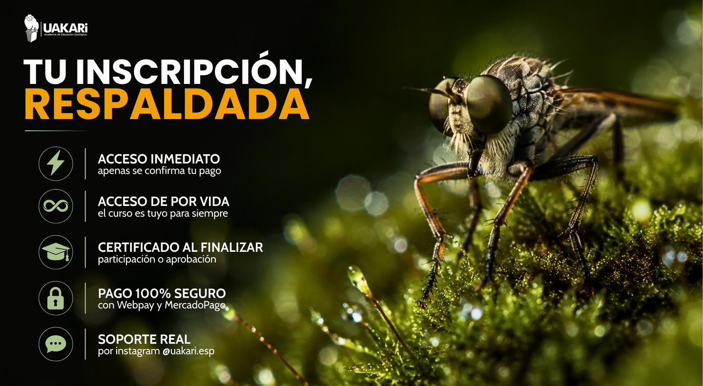 Tu inscripción respaldada: acceso de por vida, certificado y pago seguro.