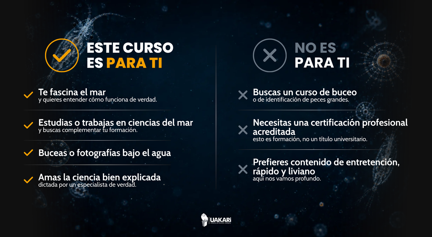 Para quién es y para quién no es el curso de zooplancton.
