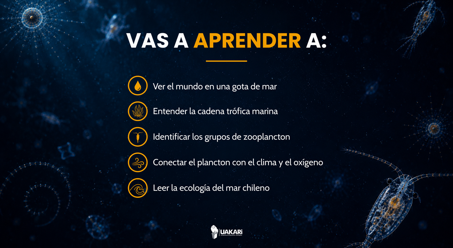 Lo que vas a aprender en el curso de zooplancton.