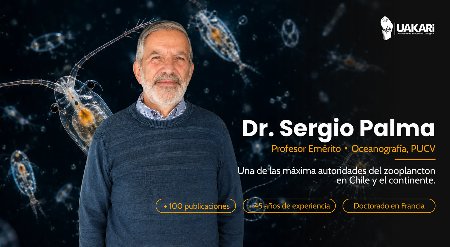 El profesor: Dr. Sergio Palma, Profesor Emérito de Oceanografía Biológica de la PUCV.