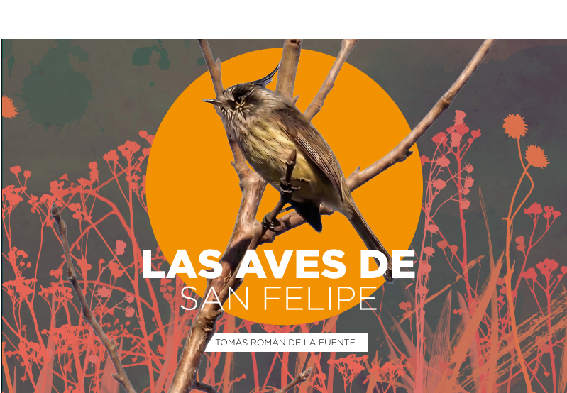 Las Aves de San Felipe (eBook)